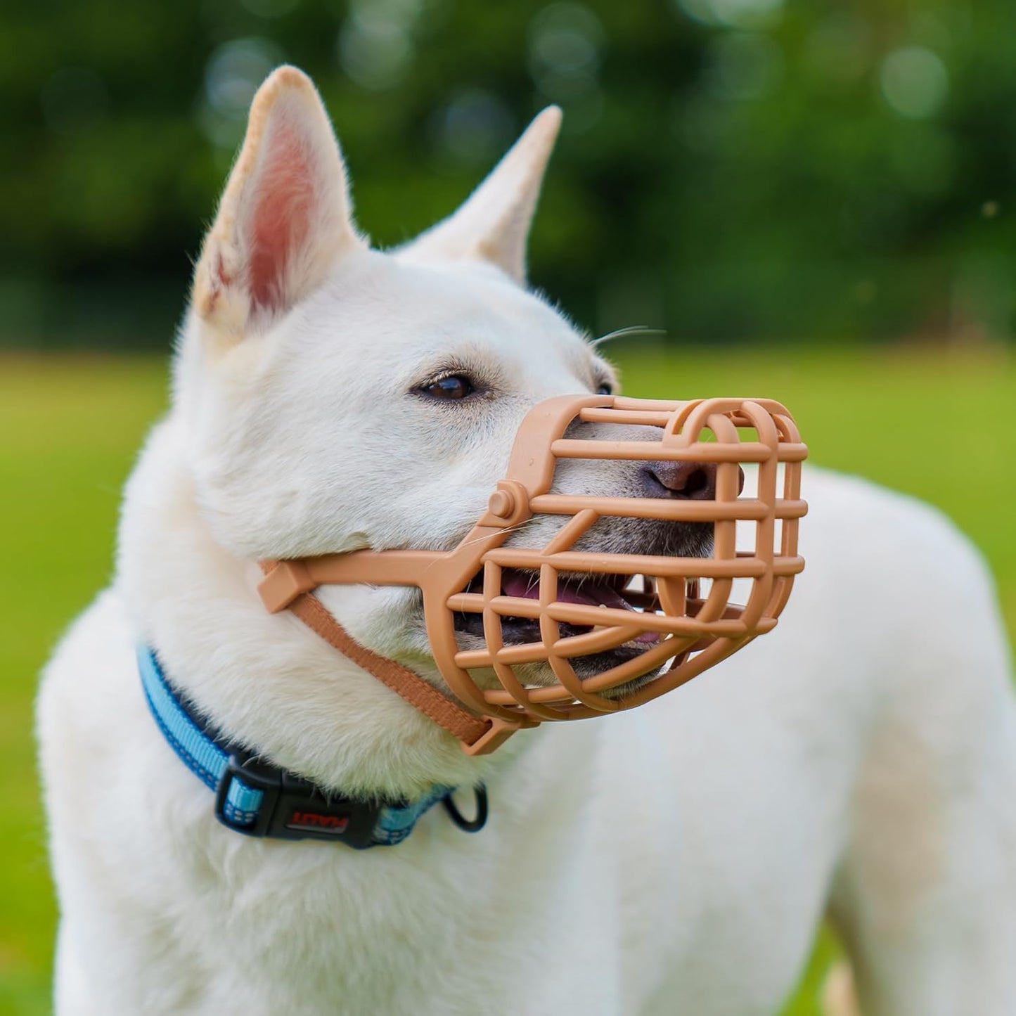 Baskerville Classic Basket Muzzle