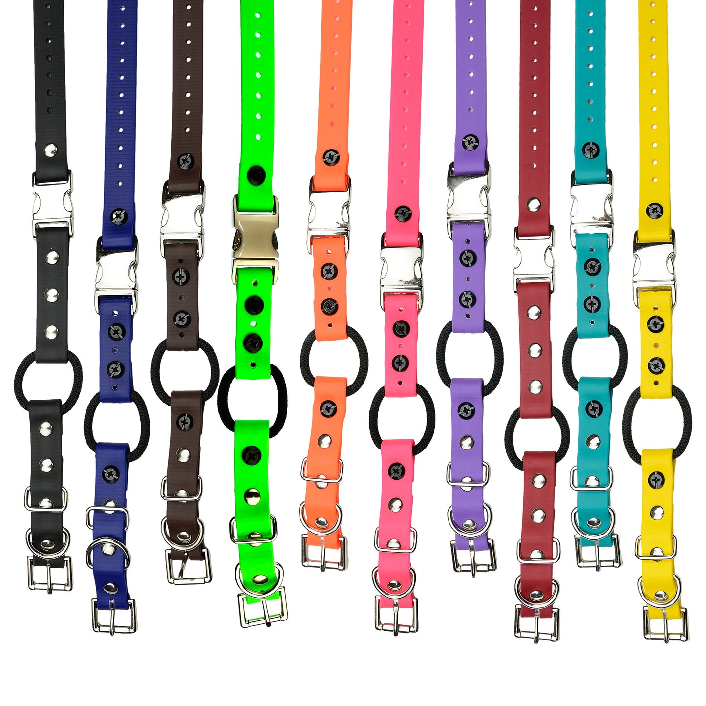 E-Collar Technologies 33" Biothane Collar with Quick Snap and Bungee
