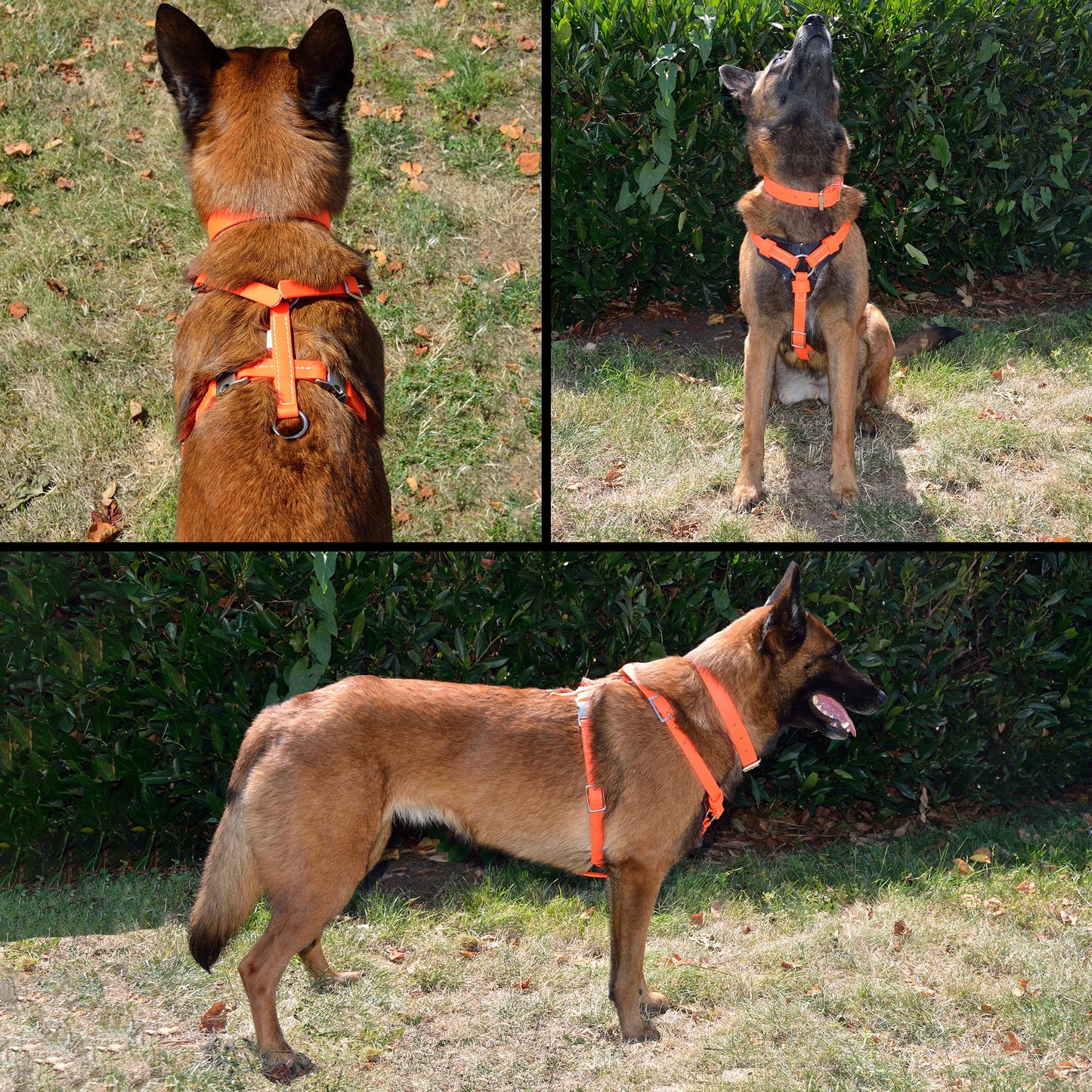 All Weather Biothane Harness