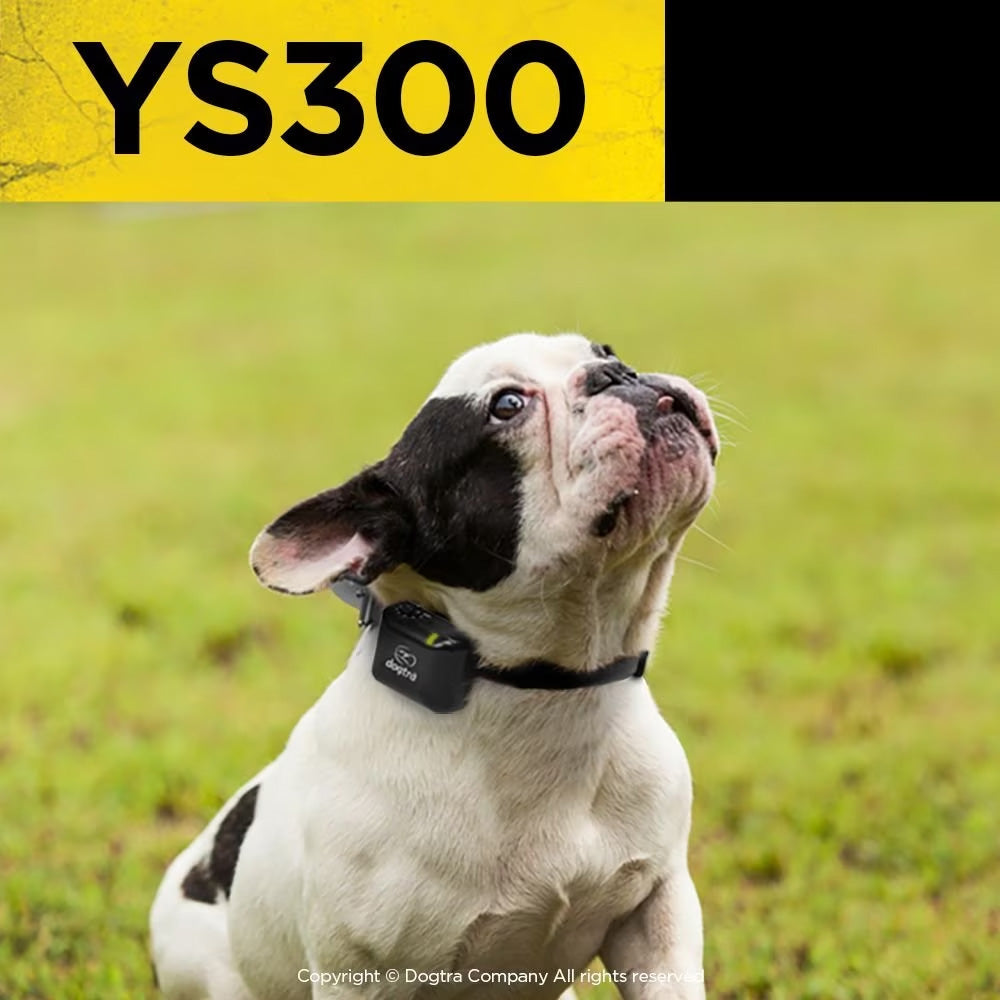 Dogtra YS300 No Bark Collar