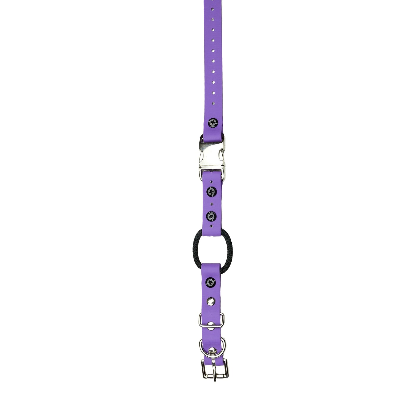 E-Collar Technologies 33" Biothane Collar with Quick Snap and Bungee