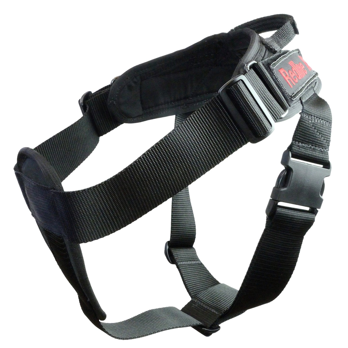 Ergo Harness