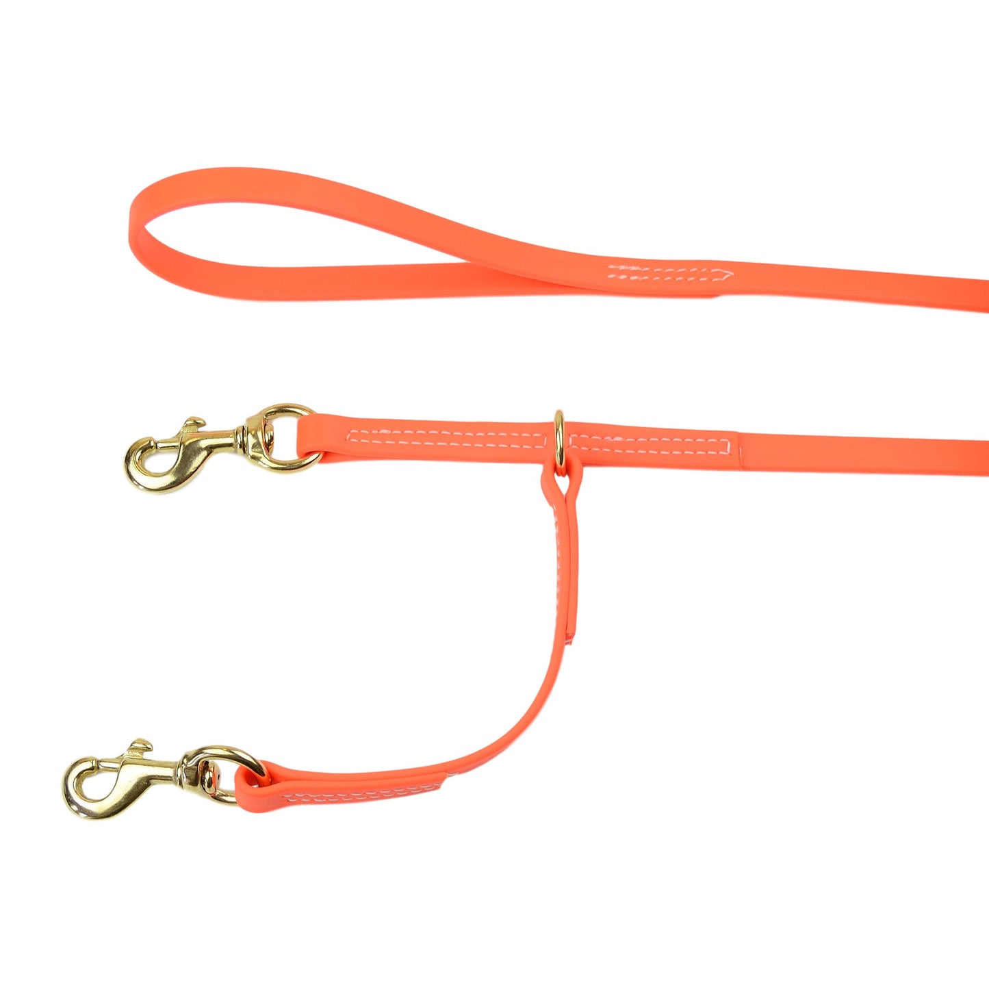 All Weather Prong Collar Leash