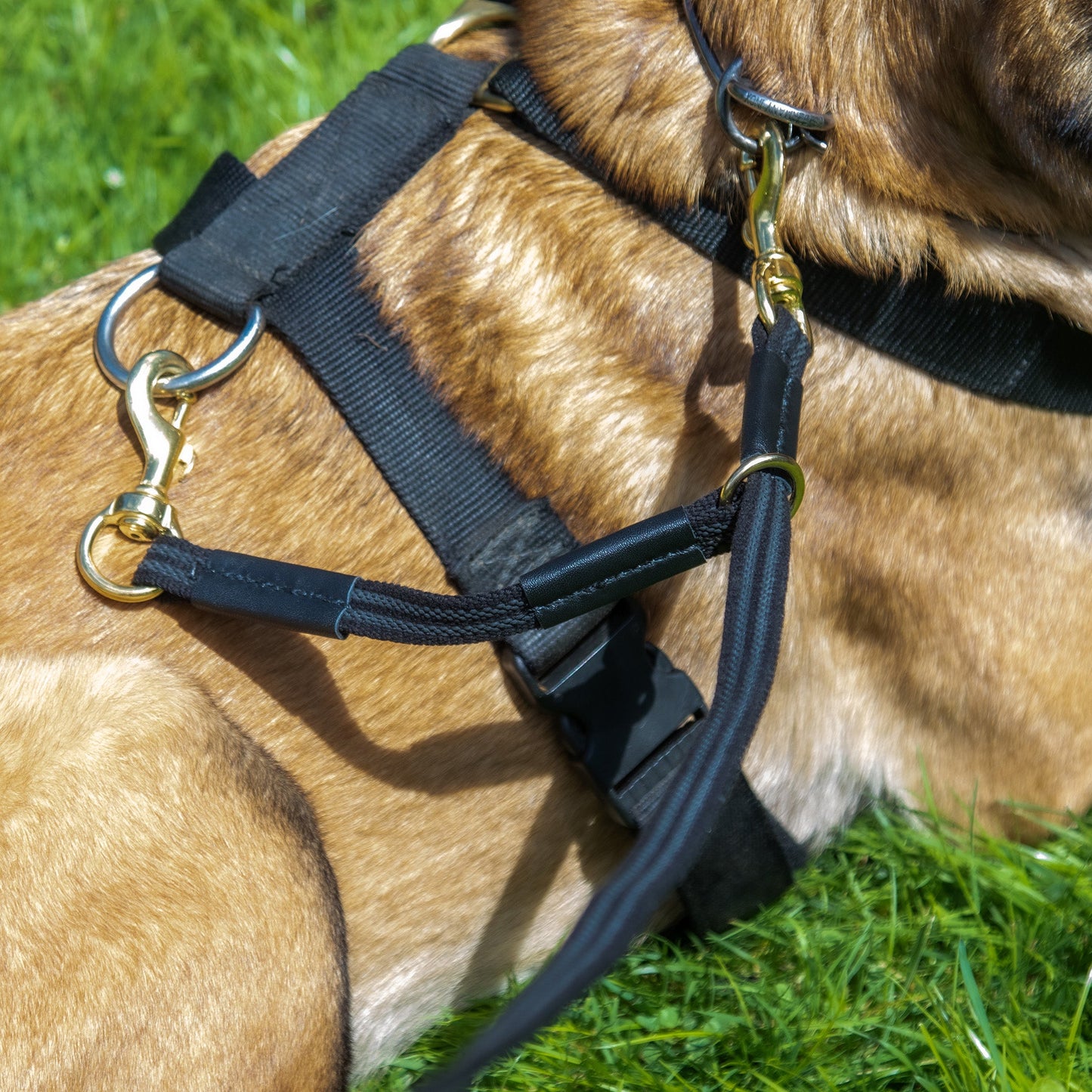 Sure Grip Leash With Floating Safety Attachment