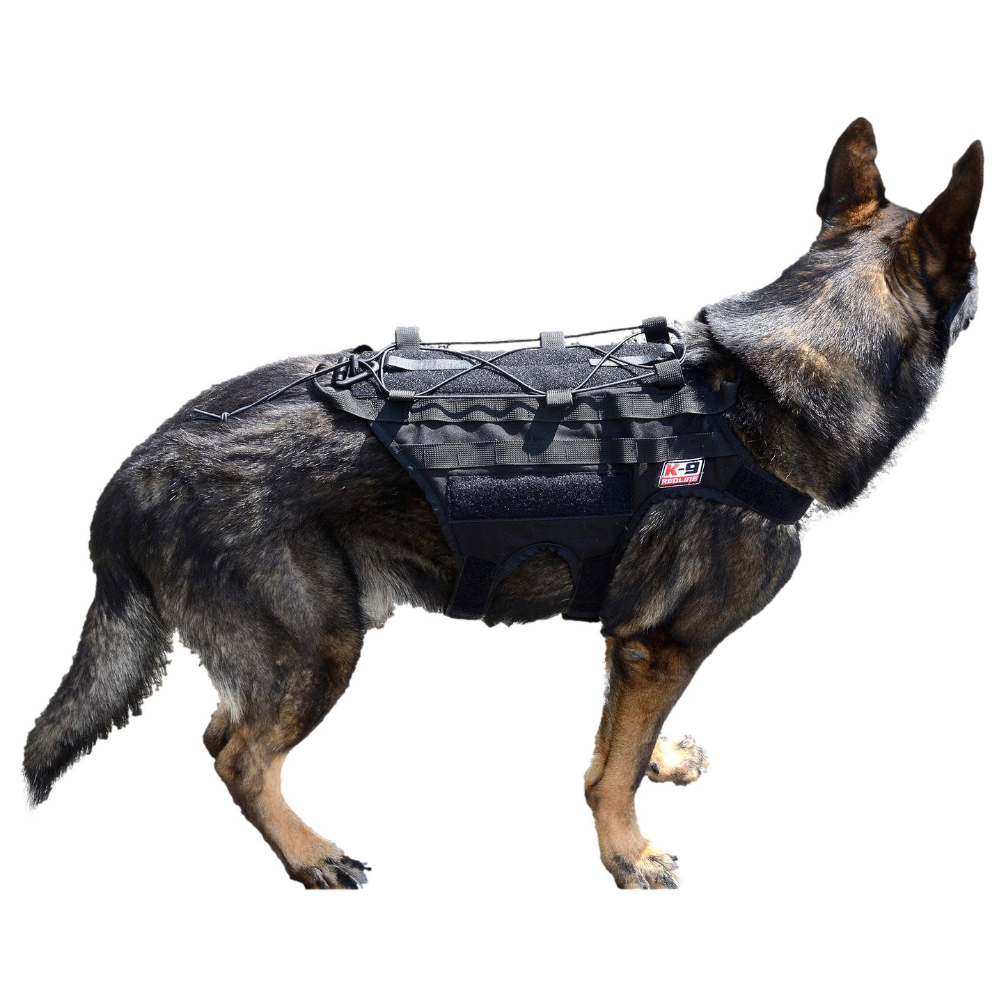 Tactical Operations Harness - Black