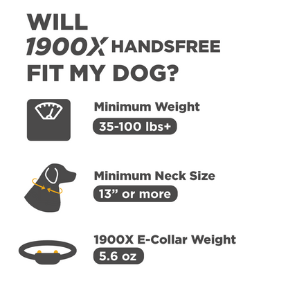 Dogtra 1900X Handsfree 1-Dog Unit