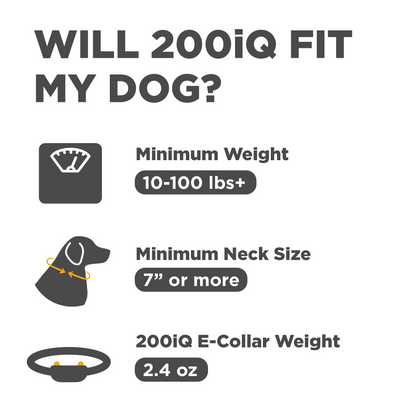 Dogtra 200iQ 1-Dog Unit