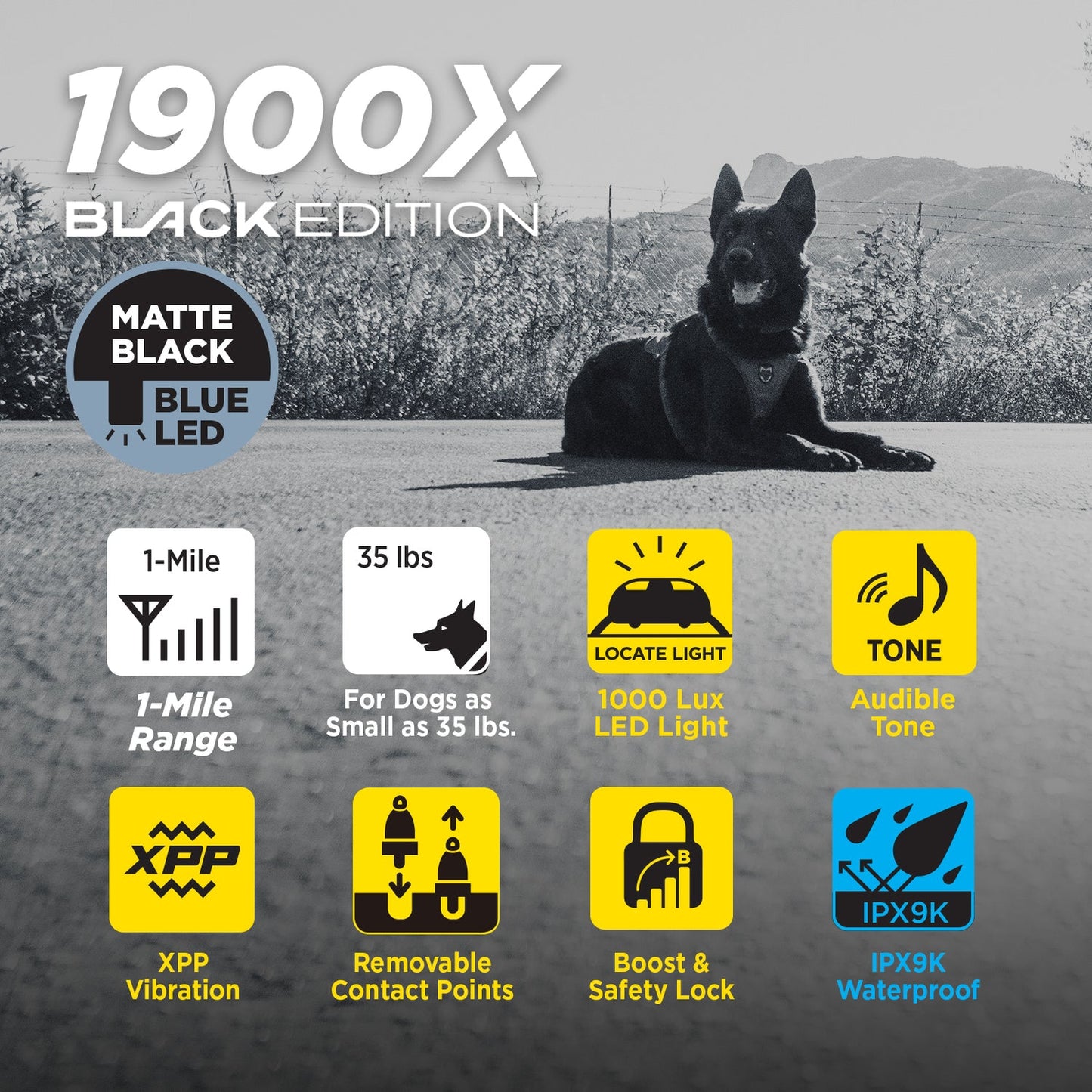 Dogtra 1900X Black Edition 1-Dog Unit