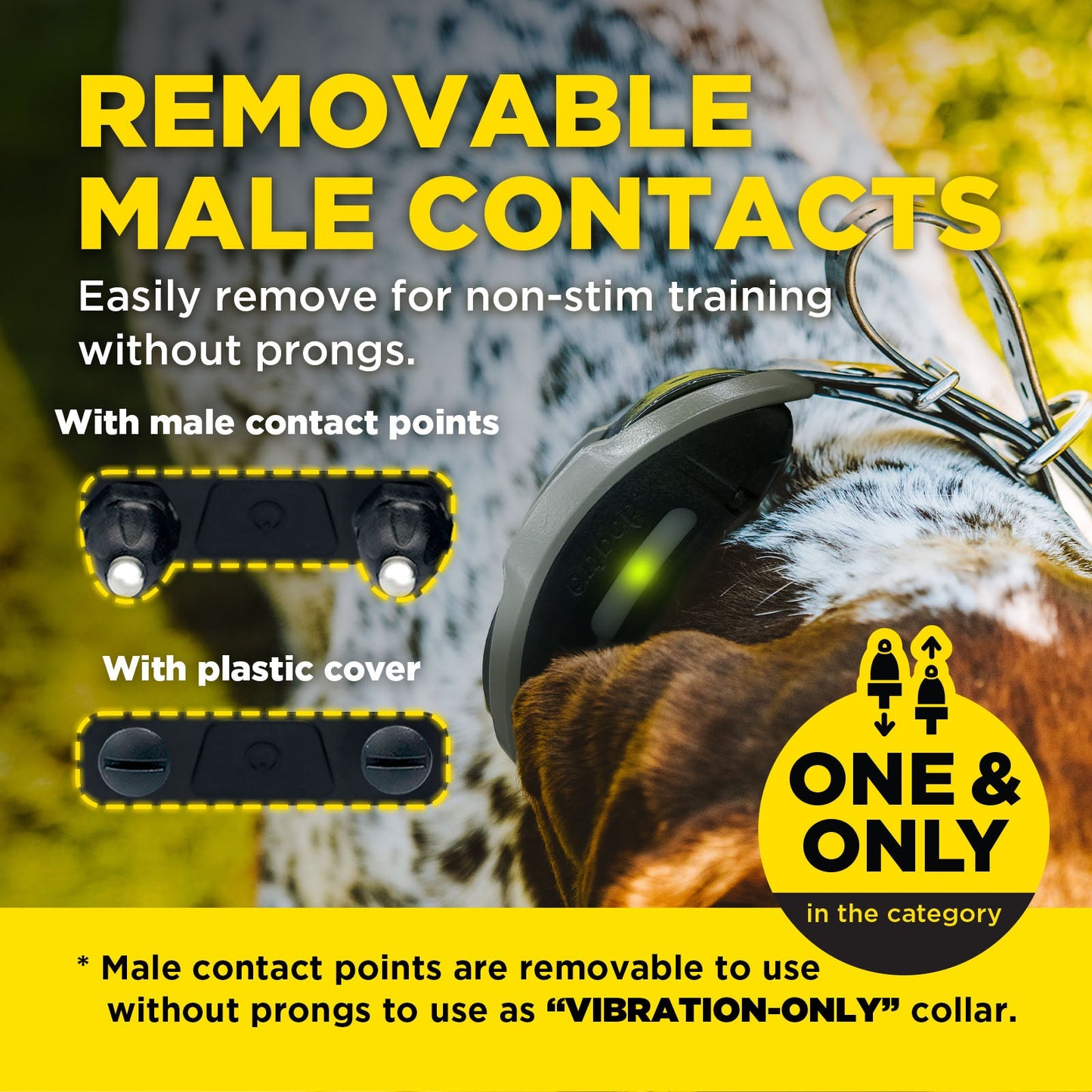 Dogtra 1900X Handsfree 1-Dog Unit