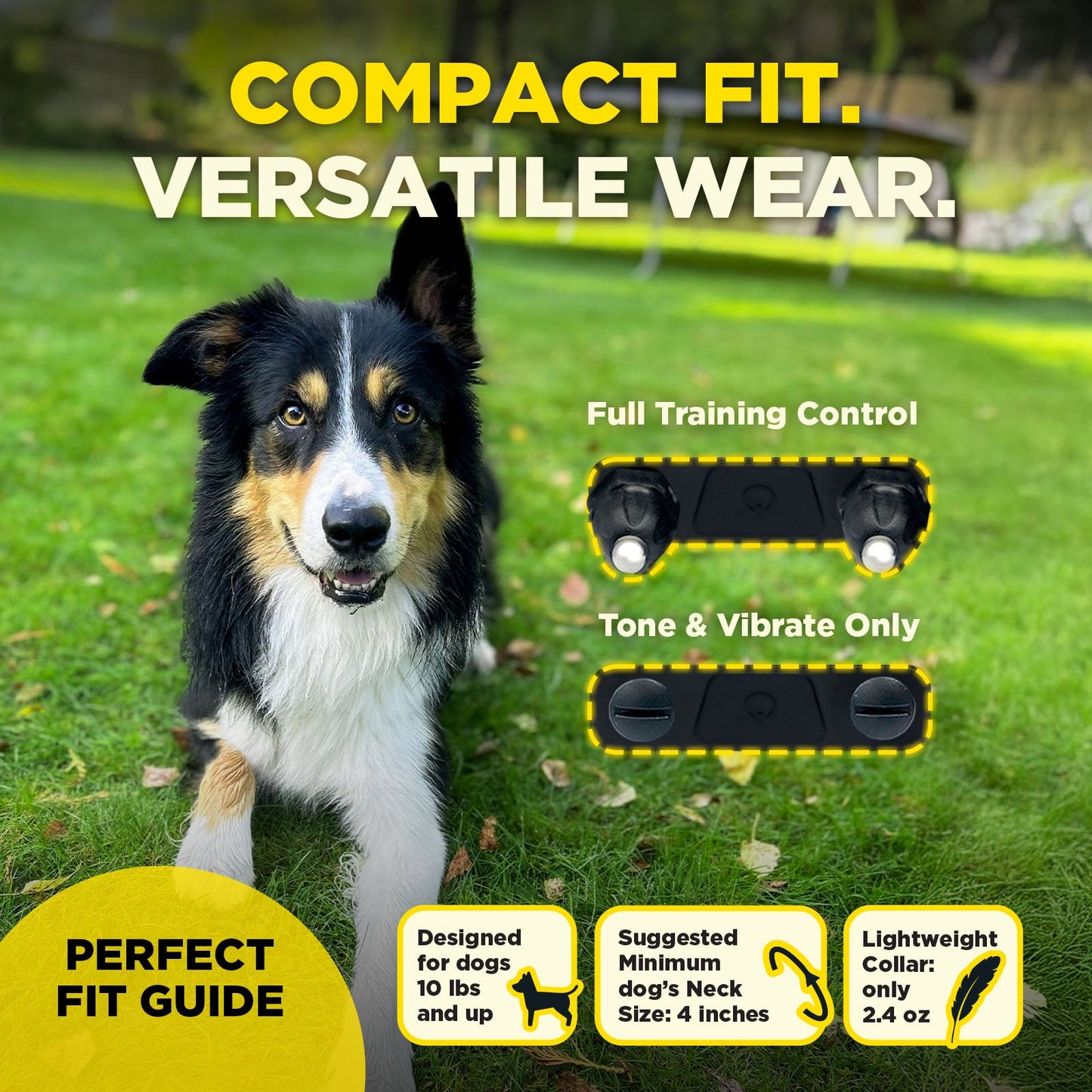 Dogtra 200iQ 1-Dog Unit