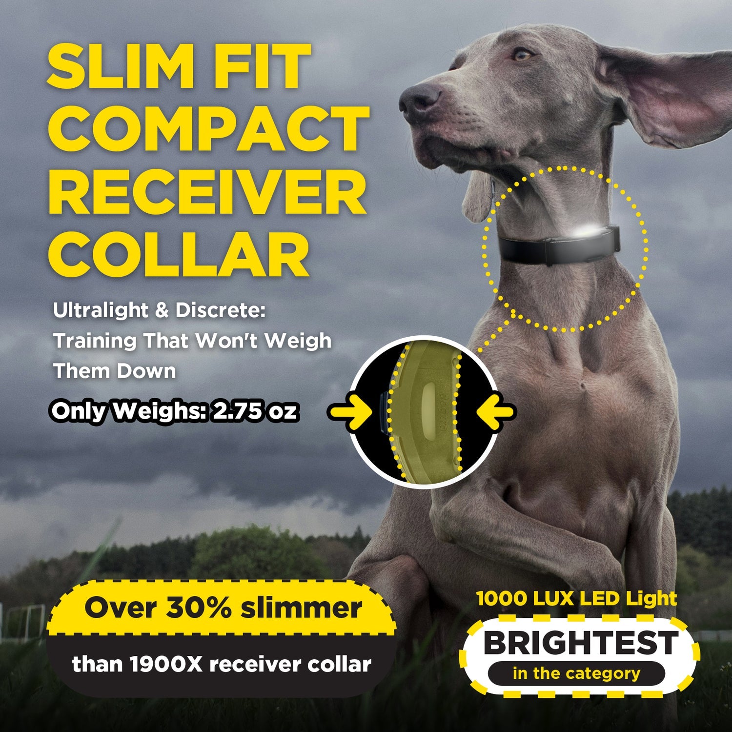 Dogtra ARC-X 1-Dog Unit – DogSport Gear Canada