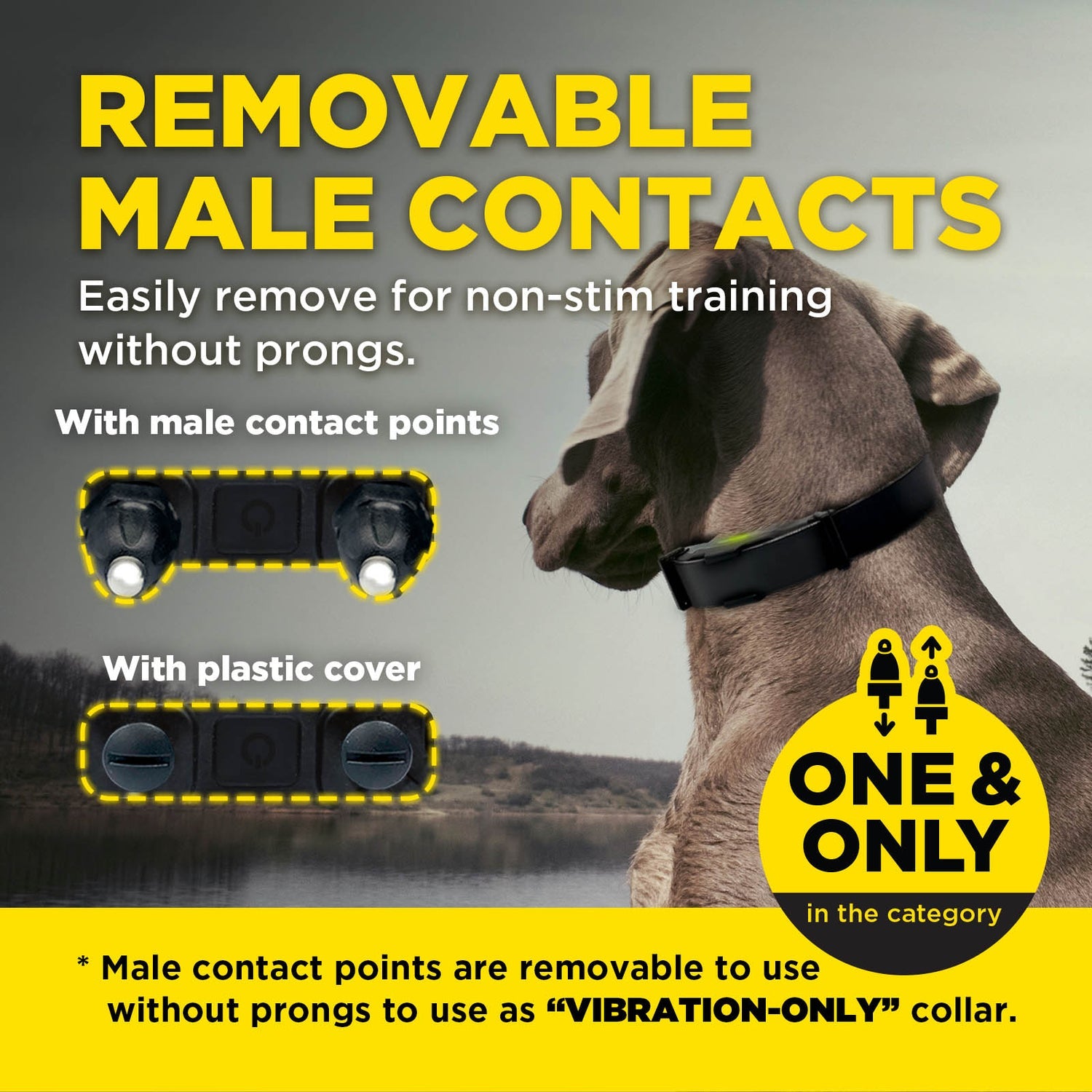 Dogtra ARC-X 1-Dog Unit – DogSport Gear Canada