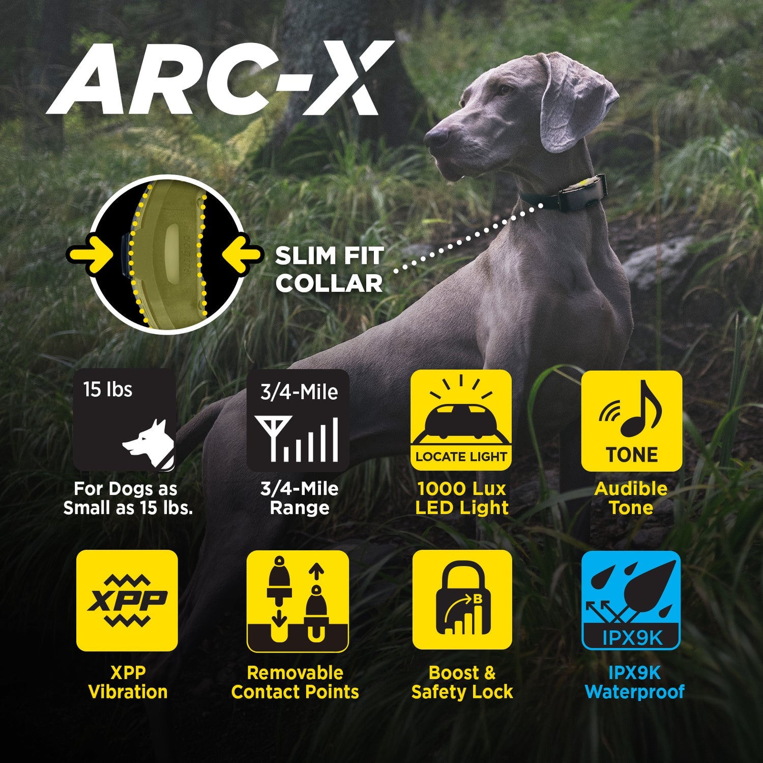 Dogtra ARC-X 1-Dog Unit – DogSport Gear Canada