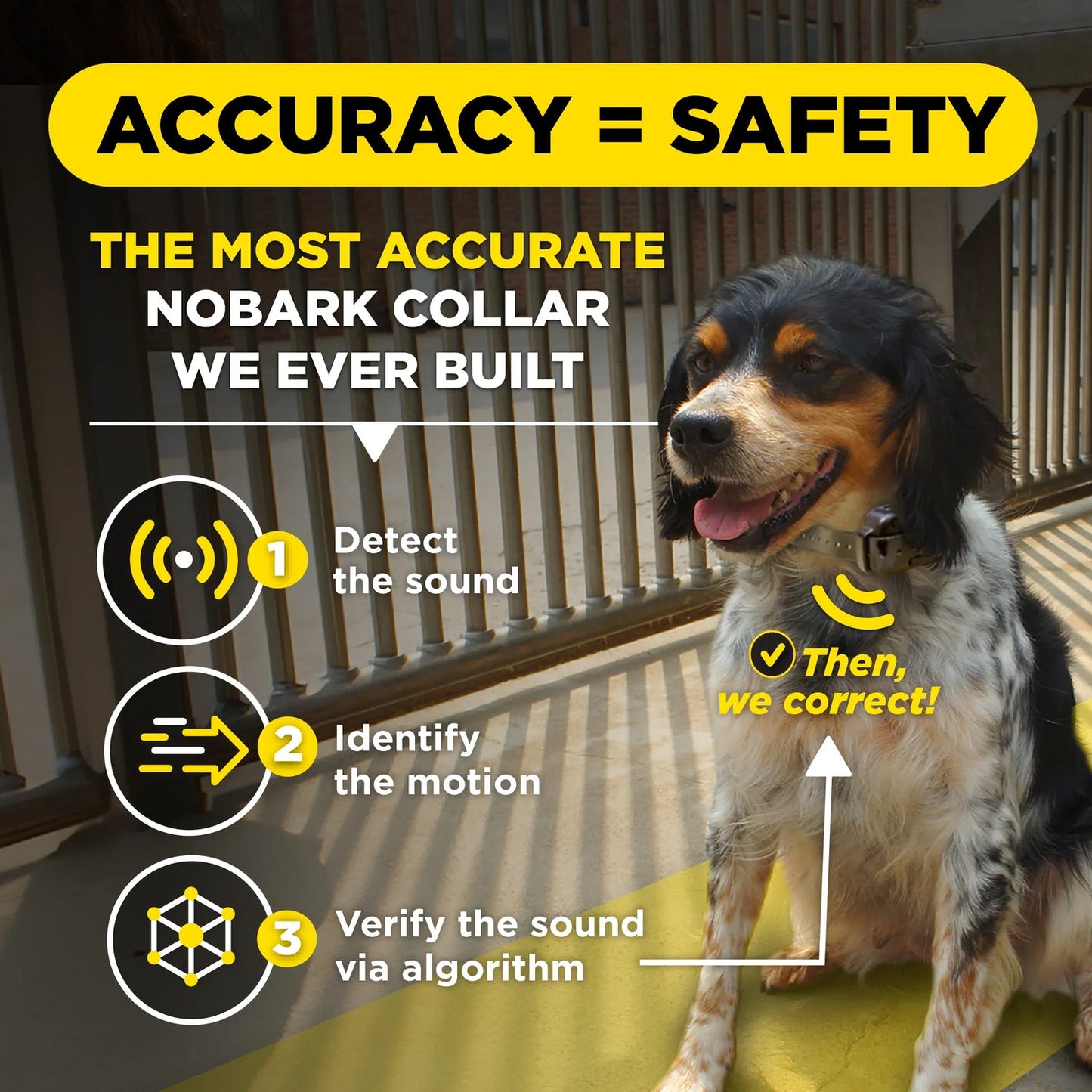 Dogtra Smart Nobark Collar