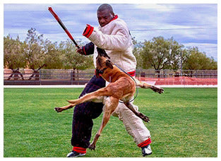 DogSport Gear Canada
