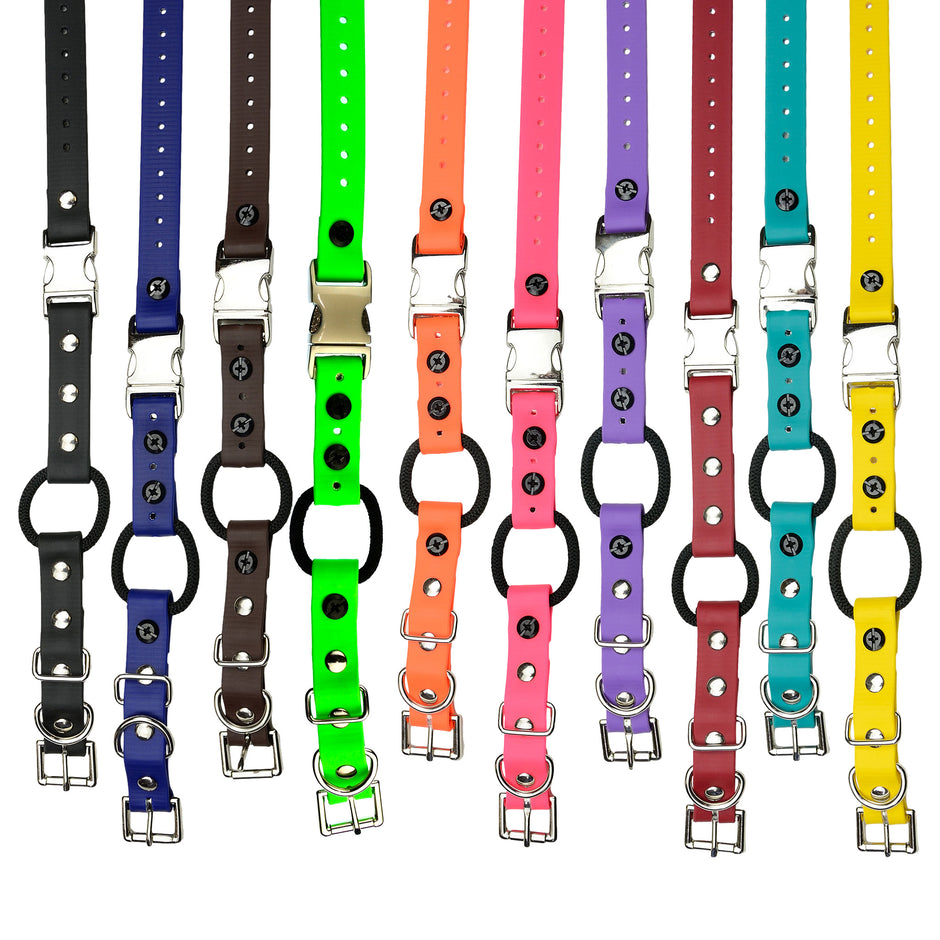 E-Collars & Accessories – DogSport Gear Canada
