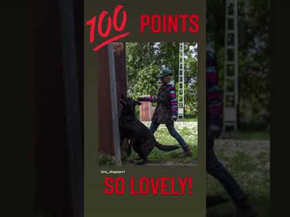 IQ Dogsport Vest 3.0