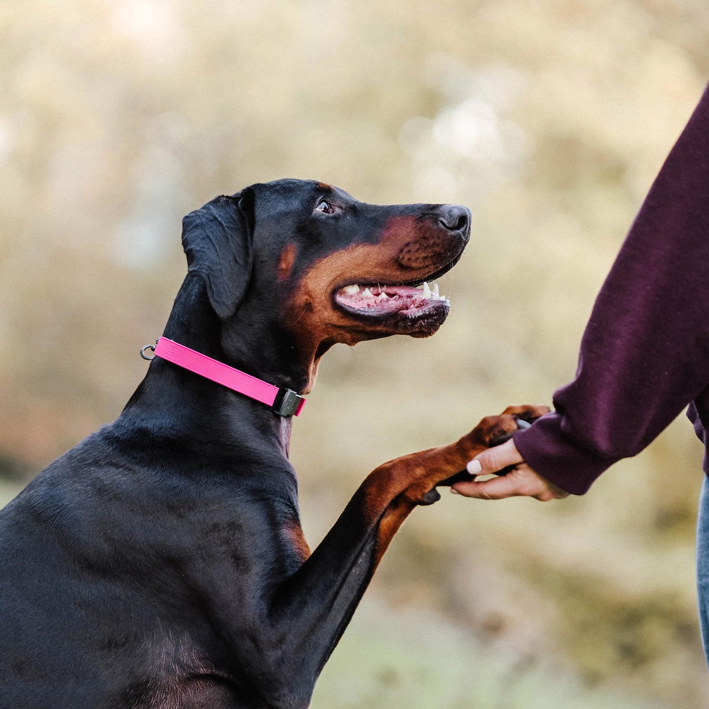 Sprenger Flexcover Prong Collar Cover