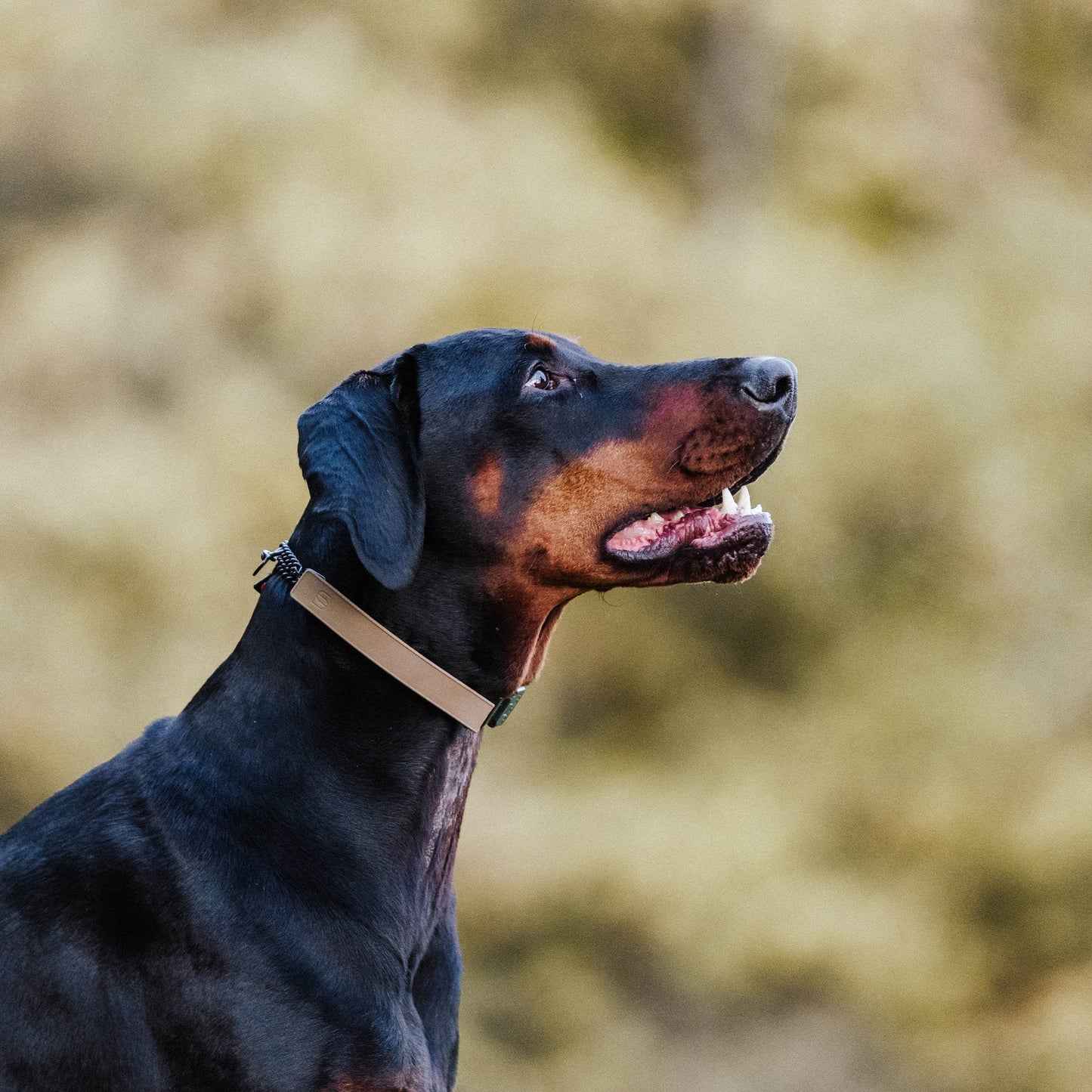 Sprenger Flexcover Prong Collar Cover