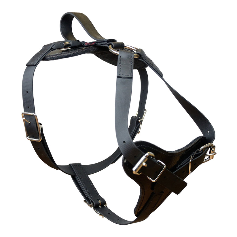 Redline K9 Padded All Weather Quick Release Harness DogSport Gear Canada