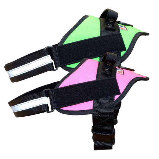 Bright Colored Dog Harness