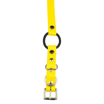 E-Collar Technologies 33" Biothane Collar with Buckle and Bungee