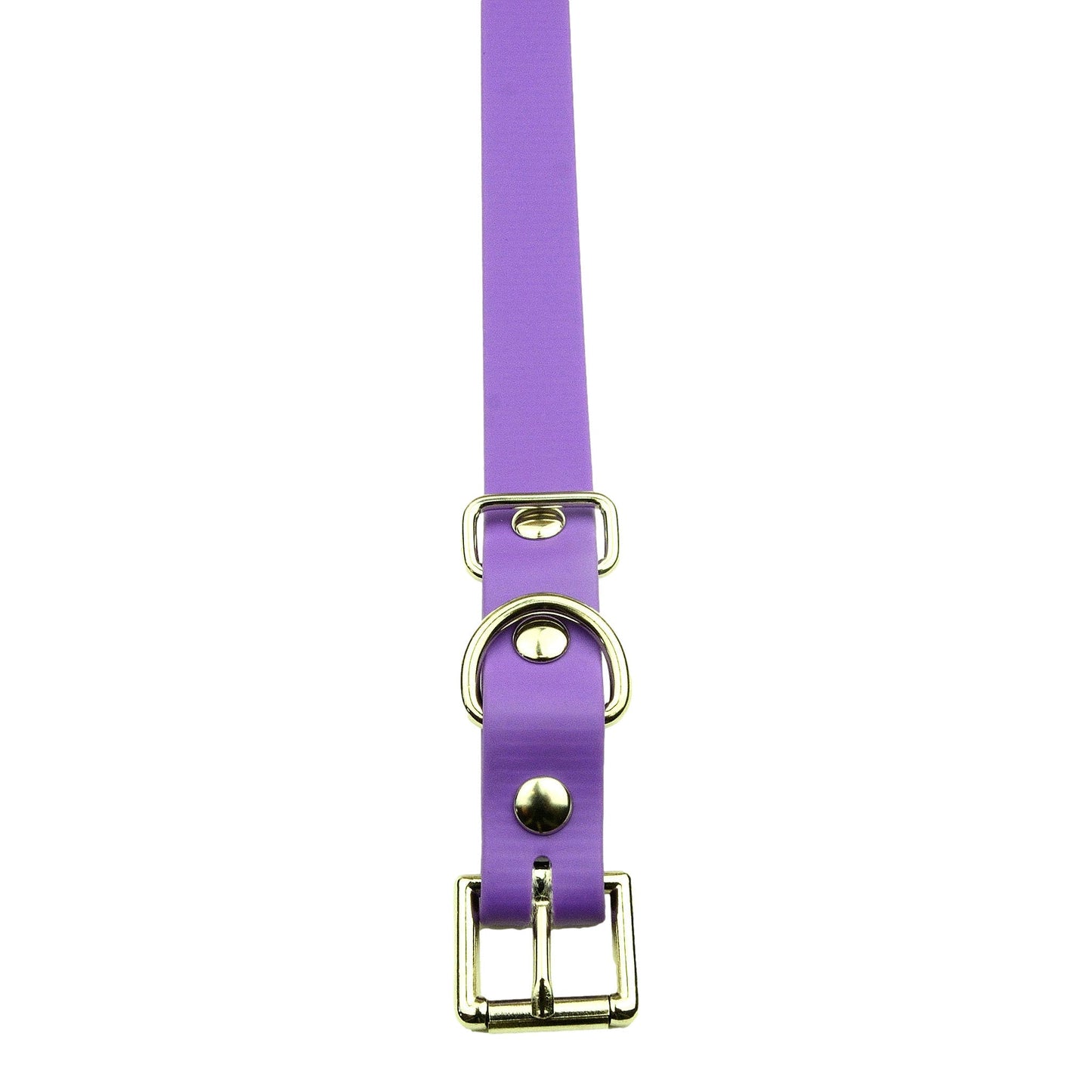 E-Collar Technologies 3/4" x 33" Biothane Collar with Buckle
