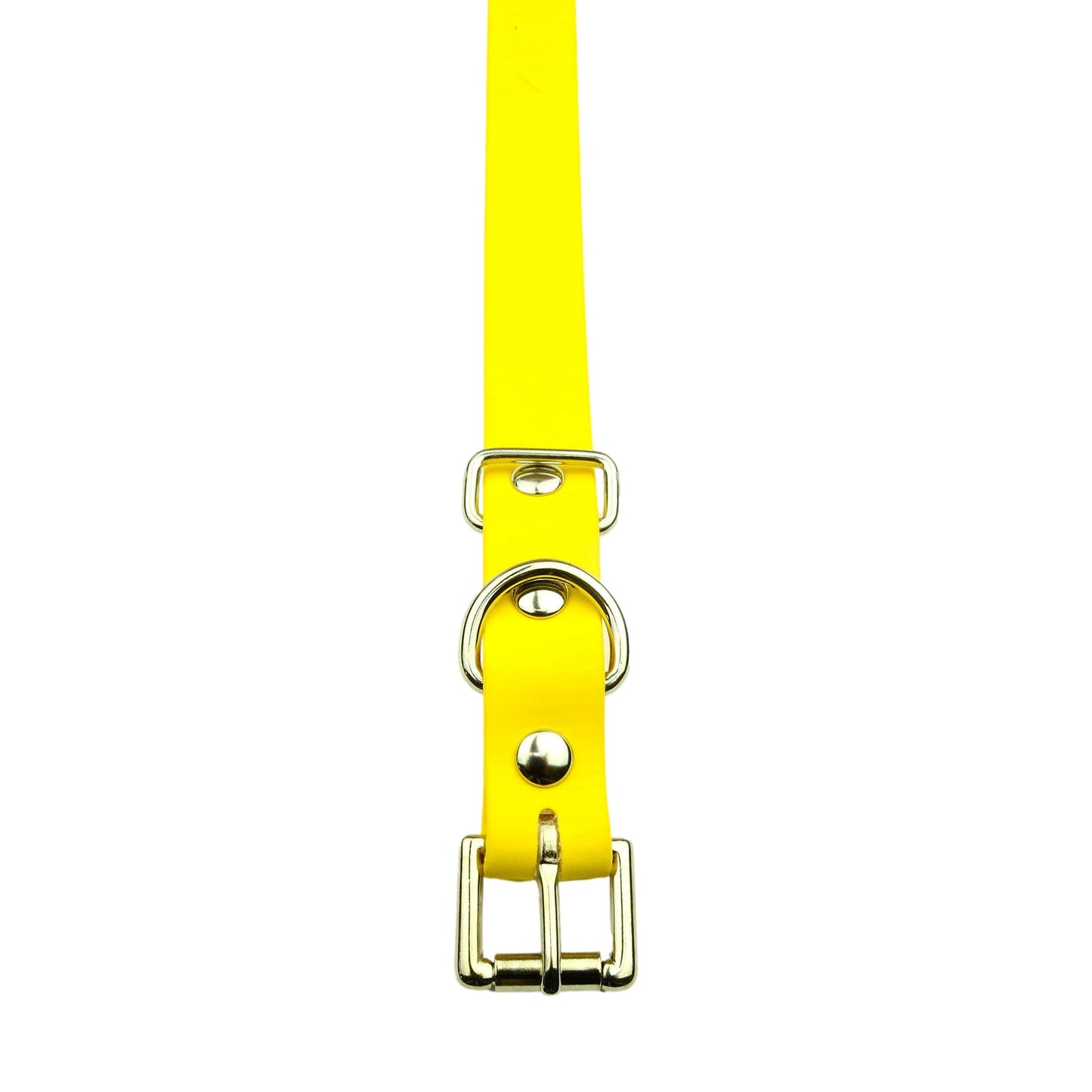 E-Collar Technologies 3/4" x 33" Biothane Collar with Buckle