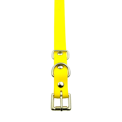 E-Collar Technologies 3/4" x 33" Biothane Collar with Buckle