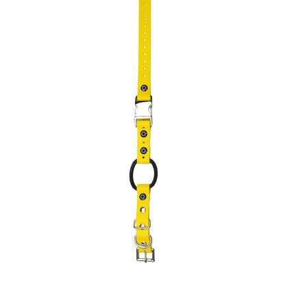 E-Collar Technologies 3/4" x 33" Biothane Collar with Quick Snap and Bungee